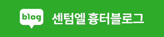 흉터블로그